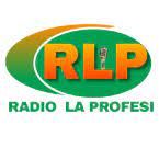 55015_Radio La Profesi FM.jpeg